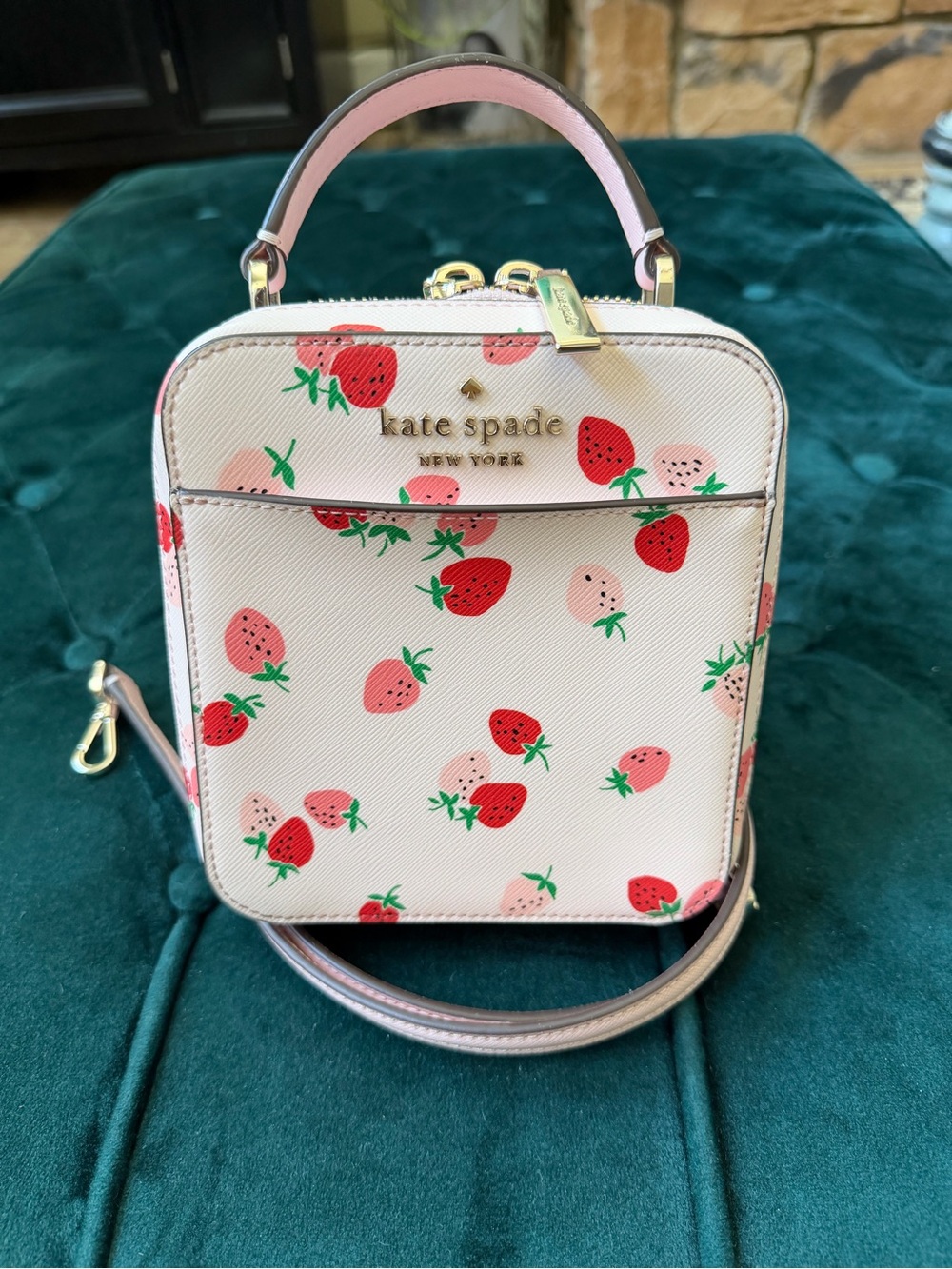 Kate Spade Daisy Wild Strawberries Vanity Crossbody Bag